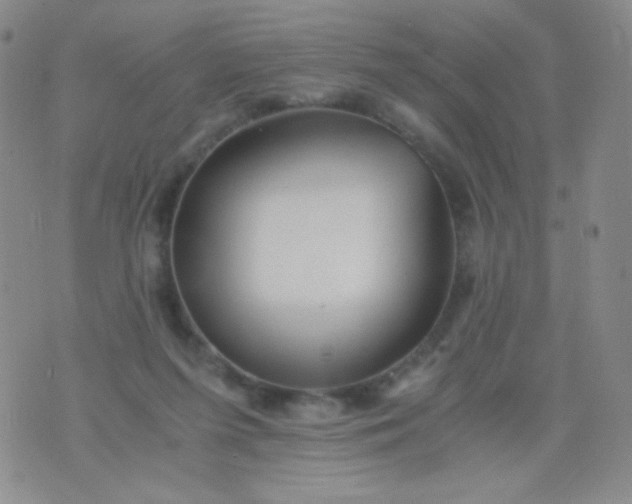 X0000076270215200610122303