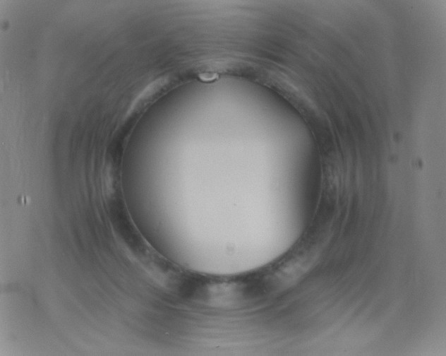 X0000076270216200610122303