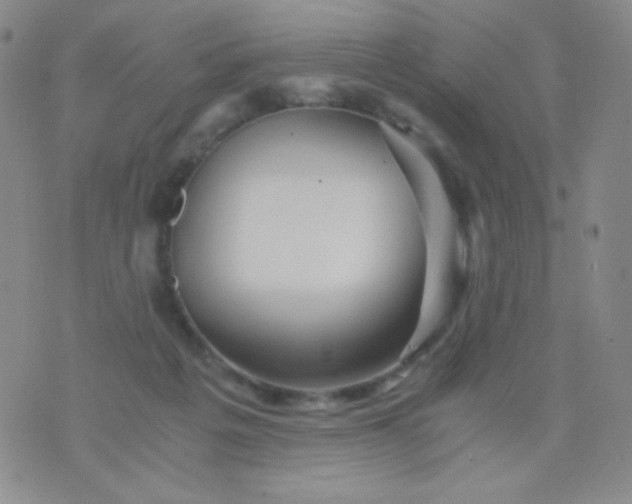 X0000076270217200610122303