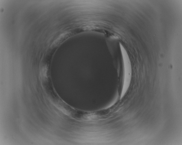 X0000076270219200610122303