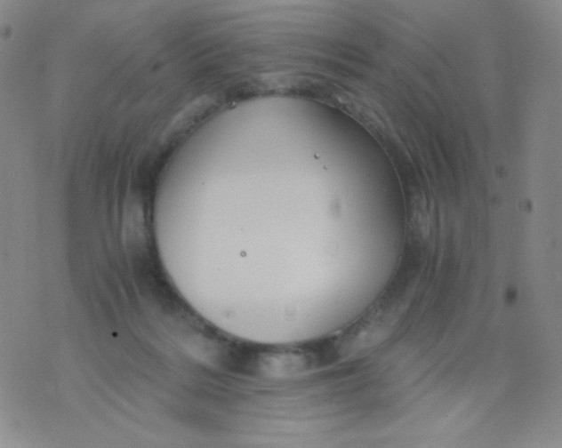 X0000076270220200610122303