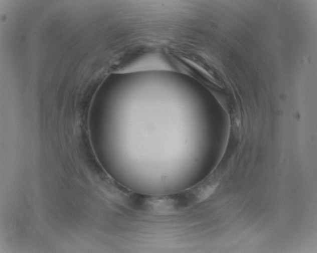 X0000076270221200610122303