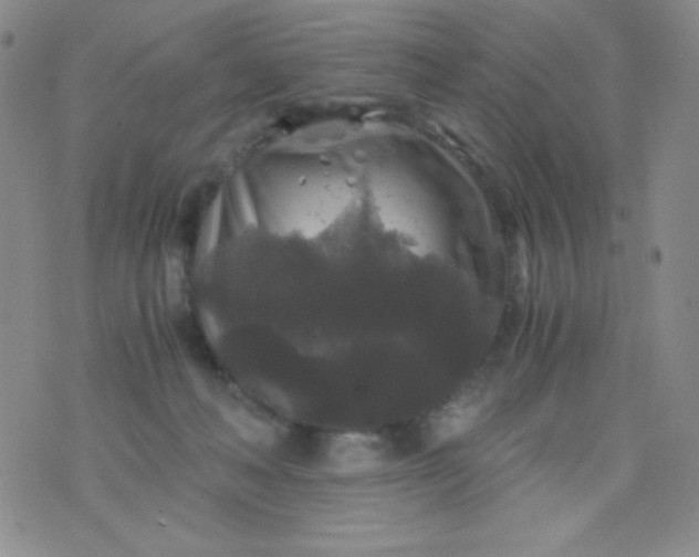 X0000076270222200610122303