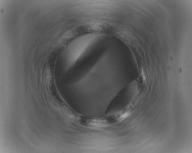 X0000076270223200610122303