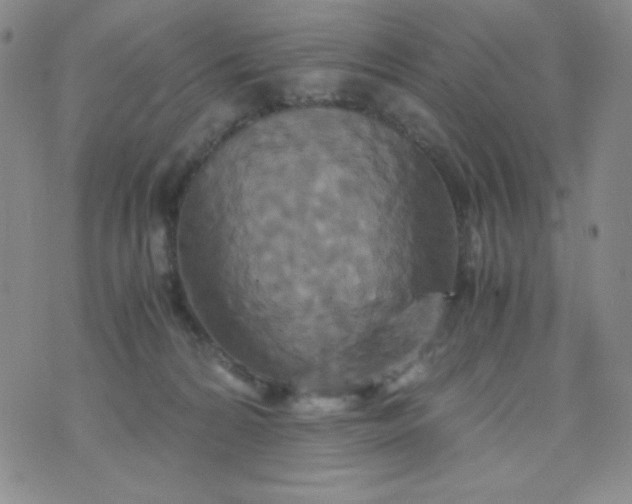 X0000076270224200610122303