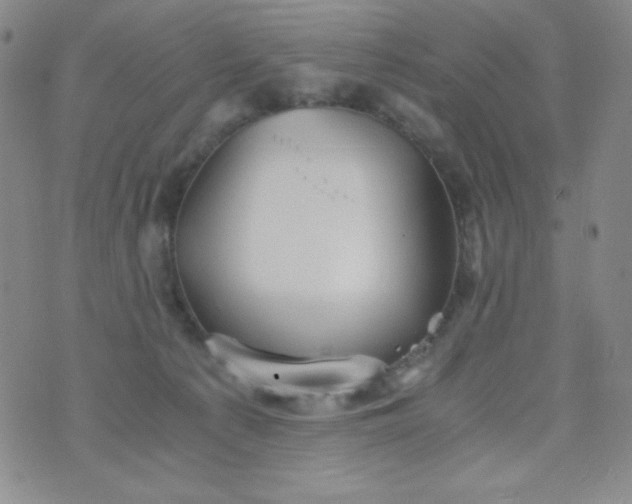 X0000076270225200610122303