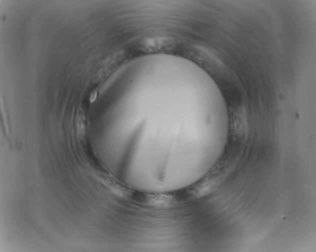 X0000076270226200610122303