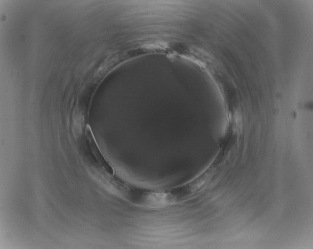 X0000076270227200610122303