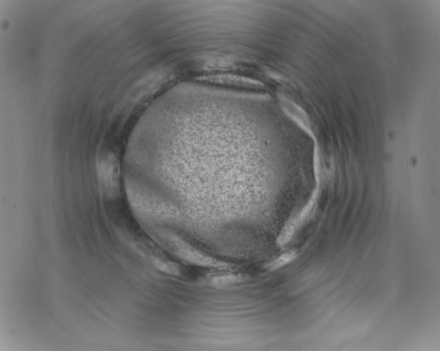 X0000076270228200610122303