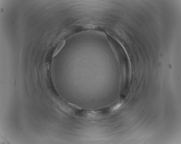 X0000076270229200610122303