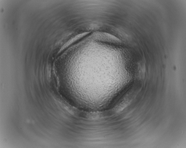 X0000076270230200610122303