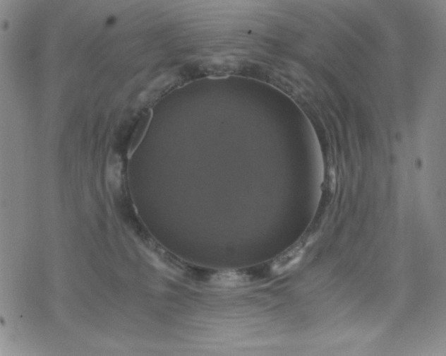 X0000076270231200610122303