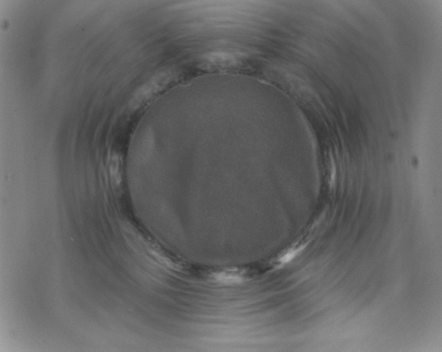 X0000076270232200610122303