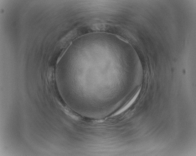 X0000076270233200610122303