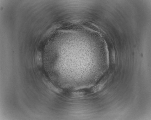 X0000076270234200610122303