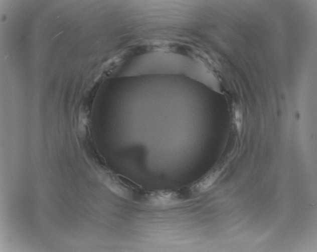 X0000076270235200610122303