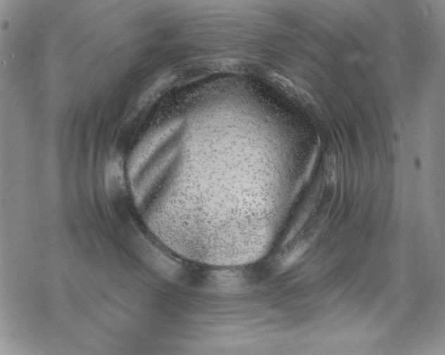 X0000076270238200610122303