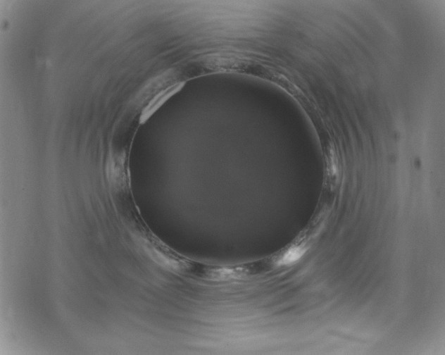 X0000076270239200610122303