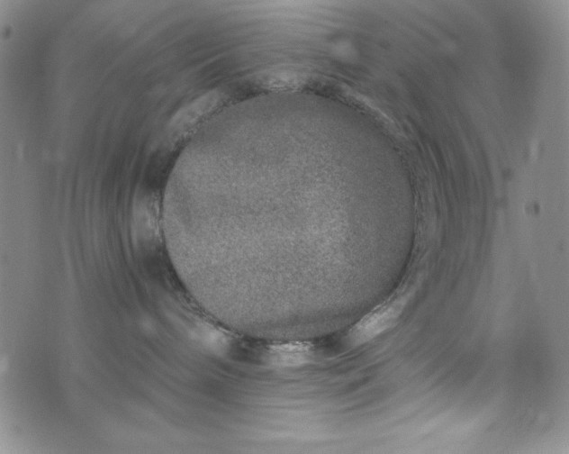 X0000076270240200610122303