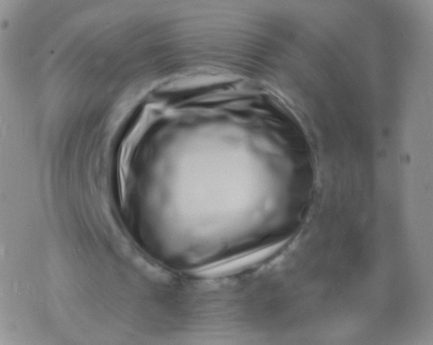 X0000076270241200610122302