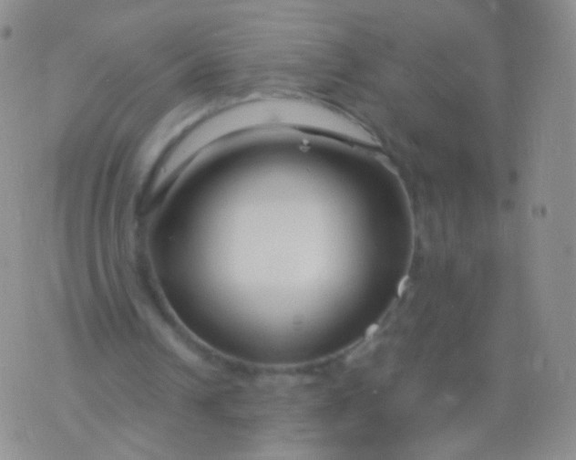 X0000076270242200610122302