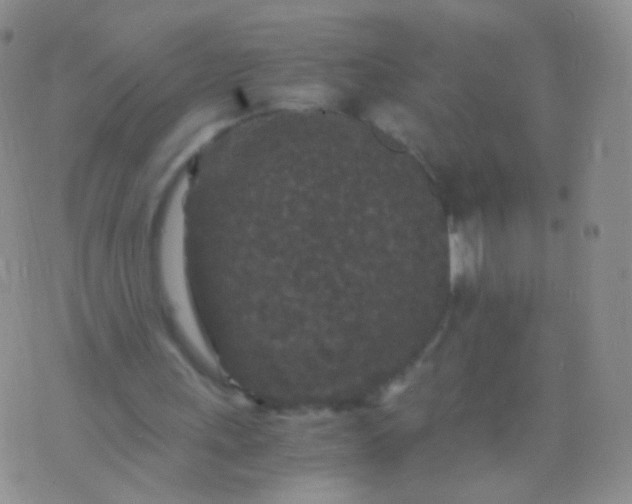 X0000076270243200610122302