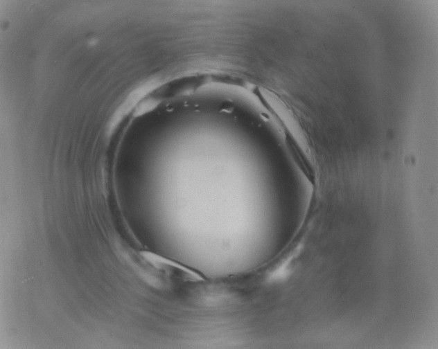 X0000076270244200610122302