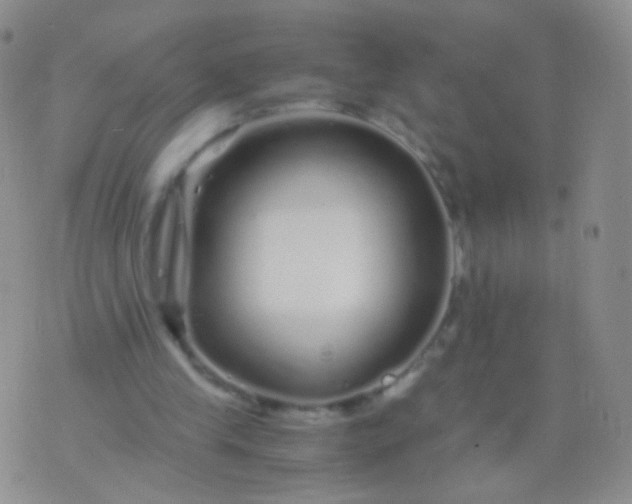 X0000076270245200610122302