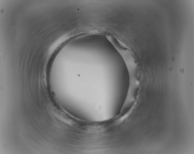 X0000076270246200610122302