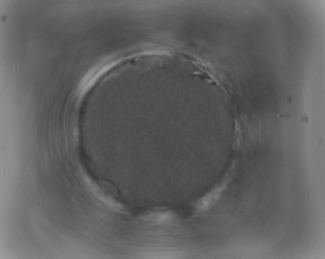 X0000076270247200610122302