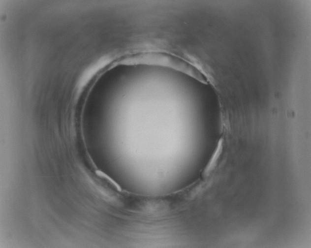 X0000076270248200610122302