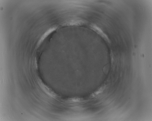 X0000076270250200610122302