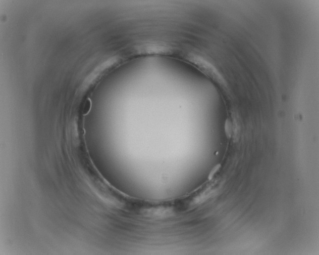 X0000076270251200610122302