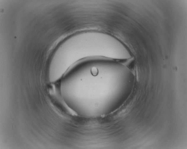 X0000076270252200610122302