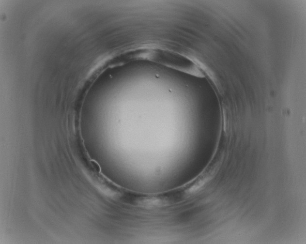 X0000076270253200610122302