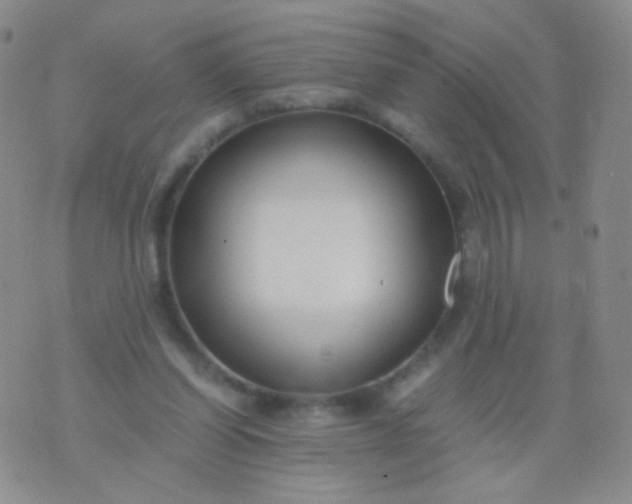 X0000076270254200610122302