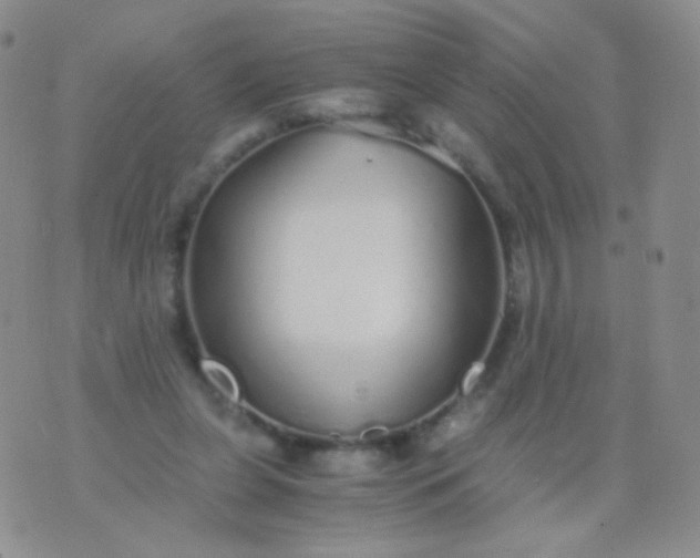 X0000076270255200610122302