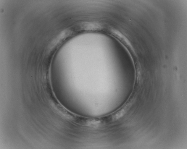 X0000076270257200610122302