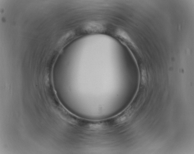 X0000076270259200610122302