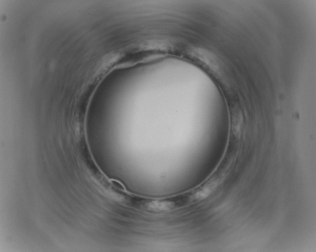 X0000076270261200610122302