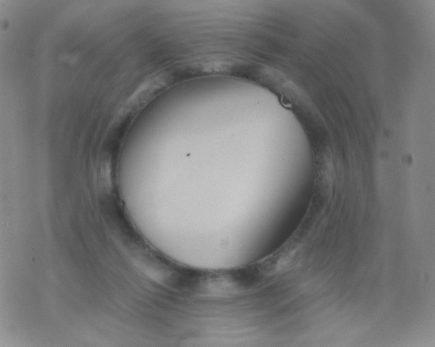 X0000076270262200610122302