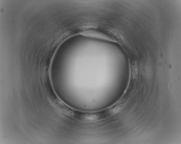 X0000076270263200610122302