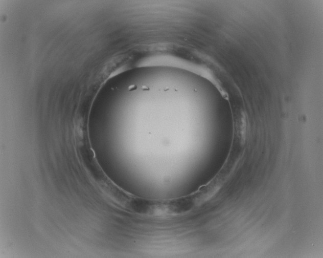 X0000076270264200610122302