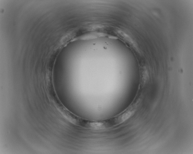 X0000076270265200610122302