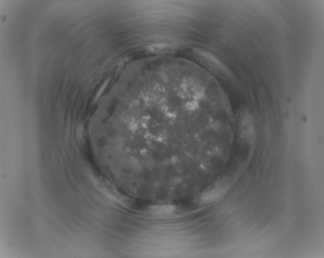 X0000076270266200610122302