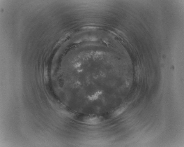 X0000076270267200610122302