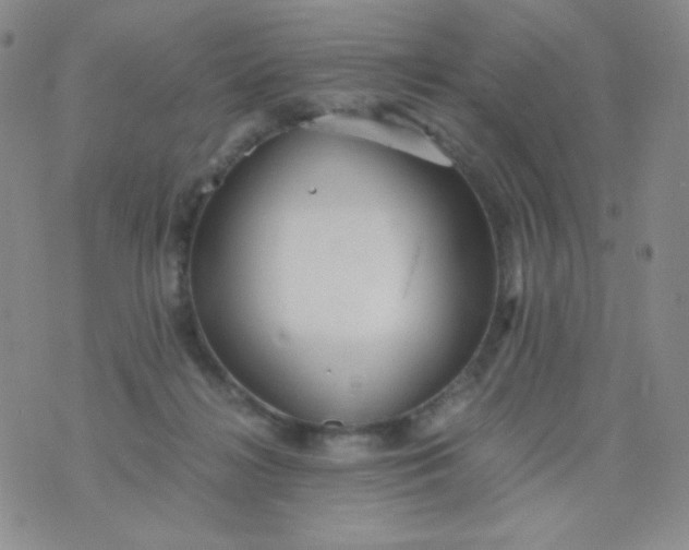 X0000076270268200610122302