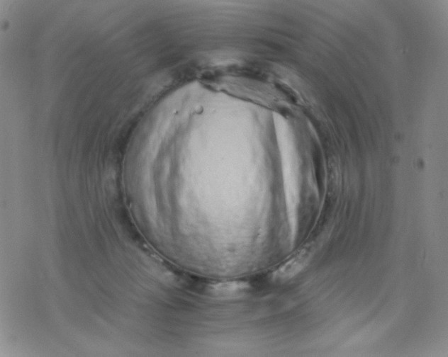 X0000076270269200610122302