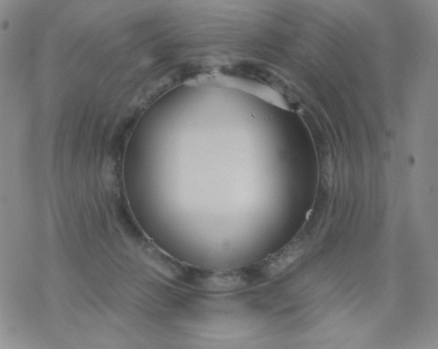 X0000076270270200610122302