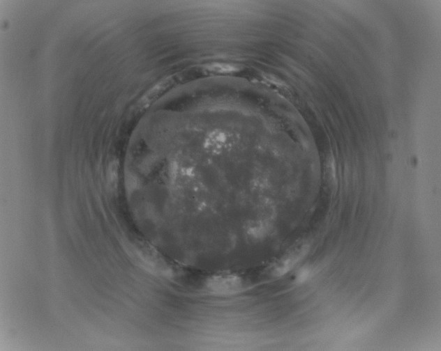 X0000076270271200610122302